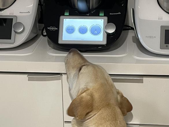 Phoenix’s Dog Treats