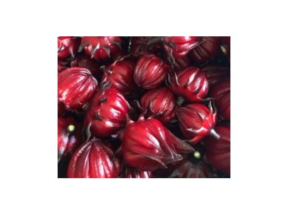 Rosella (Hibiscus) Cordial