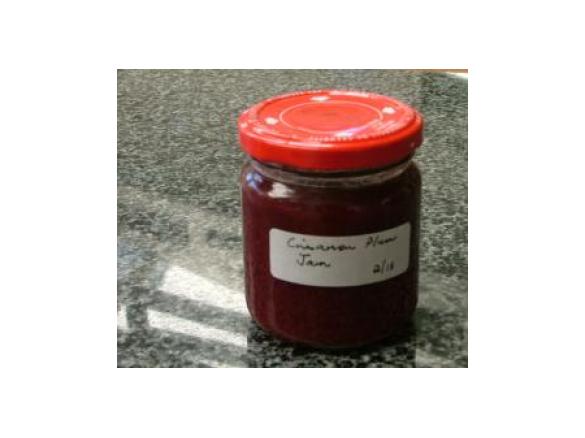 Cinnamon Plum Jam