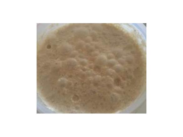 Coco Therapy (DF, GF, SF)