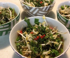 Quick Vietnamese Beef Pho