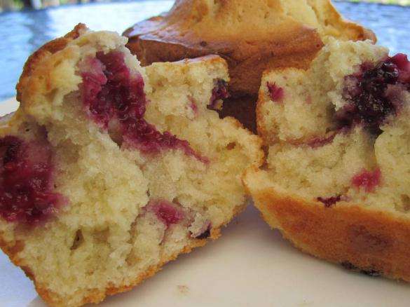 Blackberry and white chocolate muffins