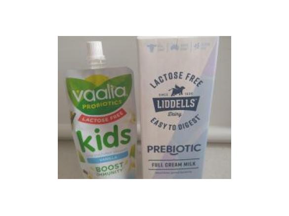 Pot Set Lactose Free Yoghurt