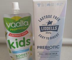 Pot Set Lactose Free Yoghurt