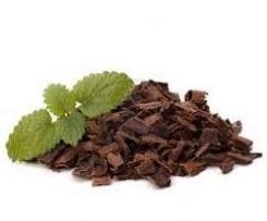 Rich Chocolate Mint Fudge