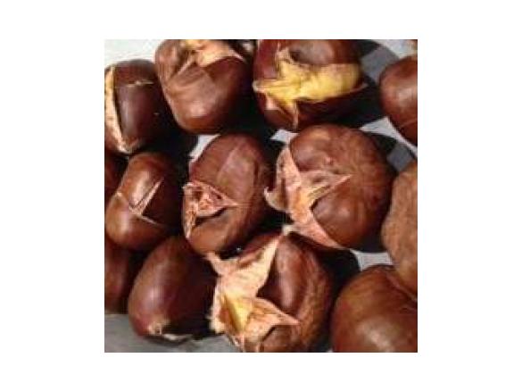 Sweet Chestnut Puree