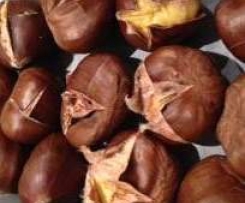 Sweet Chestnut Puree