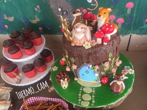 Best Ever Chocolate Mud Cake GAPS & Paleo Compliant