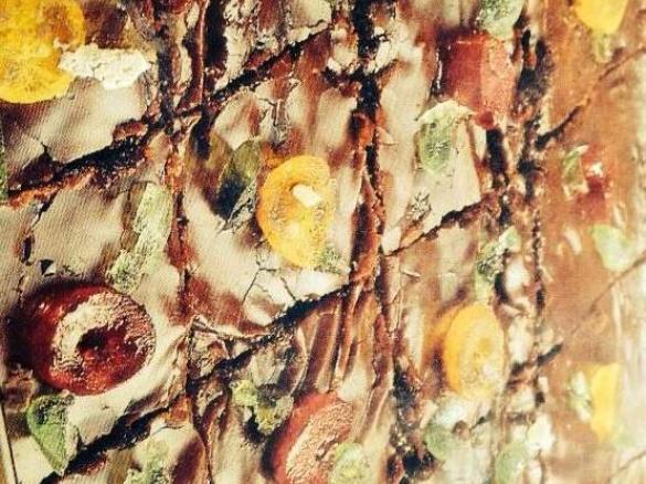 Monica's Brown Sheet cake 