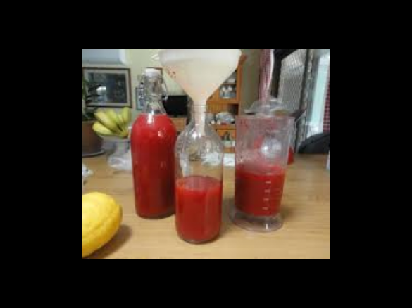 Homemade Raspberry Cordial