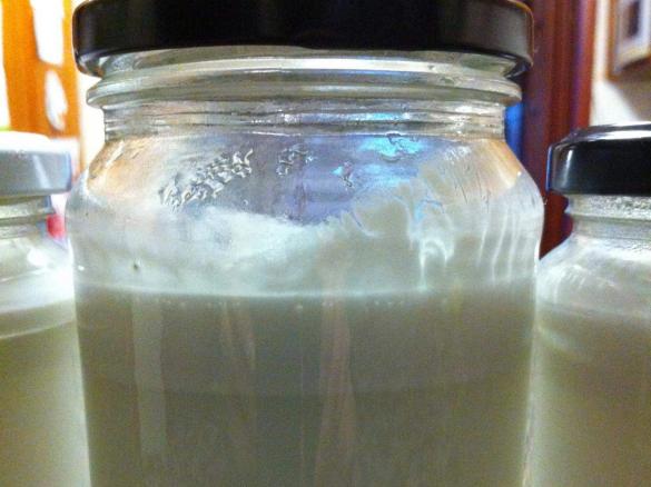 Coconut Cream and Milk (With Fresh, Not Dessicated Coconut)