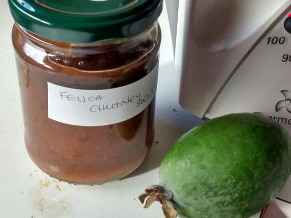 FEIJOA CHUTNEY 