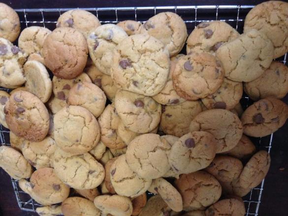 Chocolate Chip Biscuits