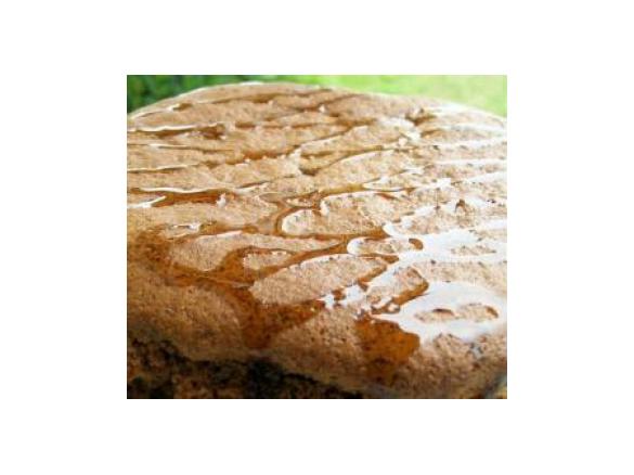 Flourless Pecan Cake