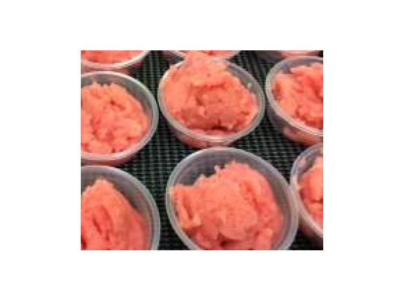 Spiced Blood Orange Sorbet