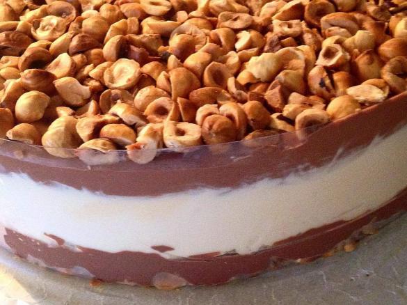 Chocolate Fudge Ice-cream Cake