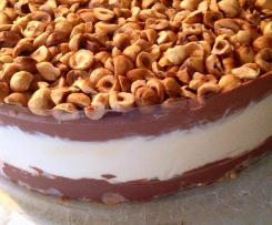 Chocolate Fudge Ice-cream Cake