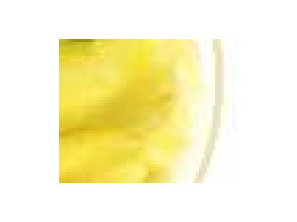 Asian Inspired Sorbet