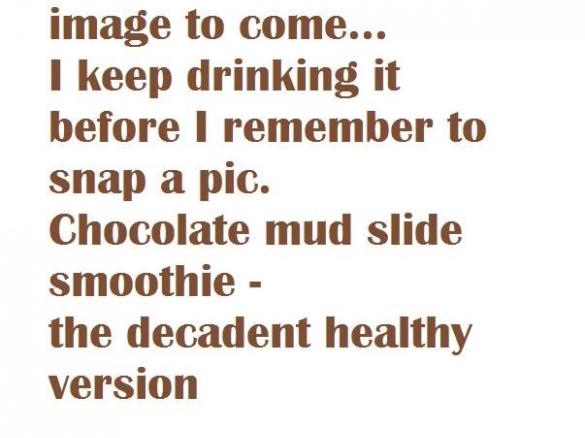 MUD SLIDE HEALTHY SMOOTHIE