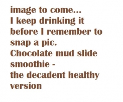 MUD SLIDE HEALTHY SMOOTHIE