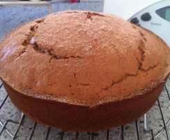 Spice cake with cinnamon sugar