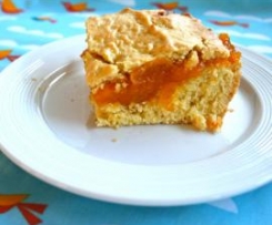 Easy Apricot Slice
