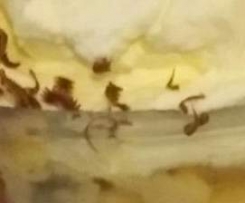 Blackberry and Port wine Trifle