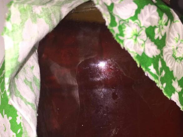 Kombucha with Ginger