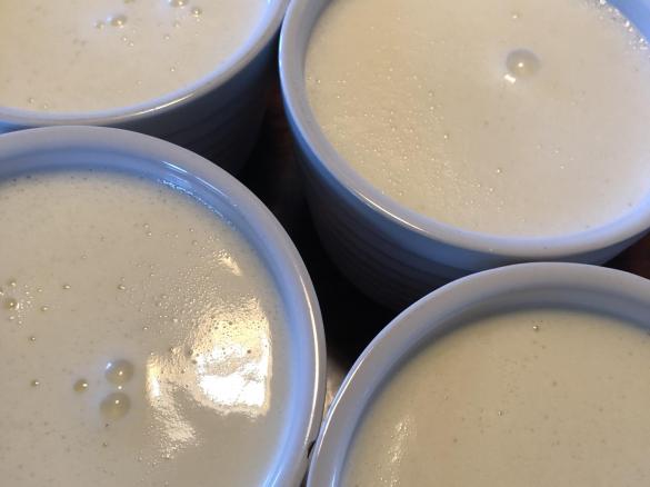 Coconut Panna Cotta with tropical salsa