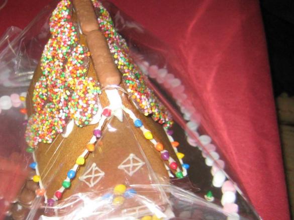 Gluten free gingerbread house