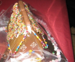 Gluten free gingerbread house