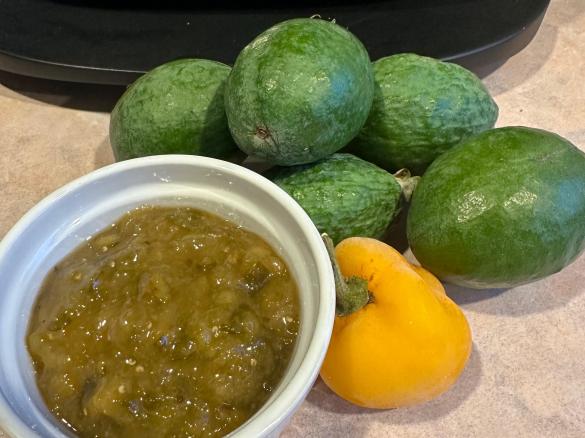 Feijoa, ginger and Chilli jam