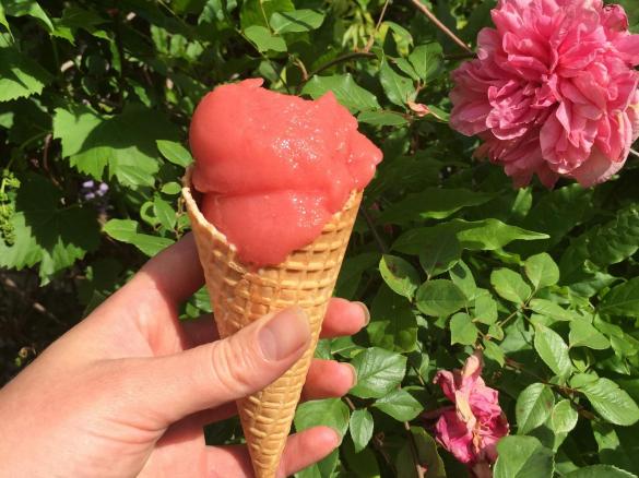 Watermelon & Raspberry Sorbet