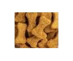 Tasty dog Treats