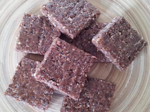 Raw Protein Bars