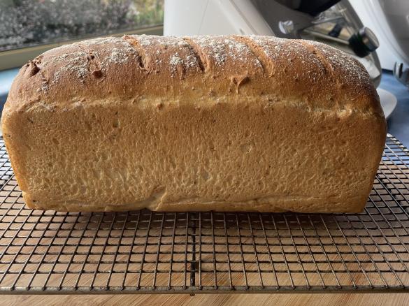 ThermoGourmand Large Basic Loaf
