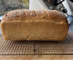 ThermoGourmand Large Basic Loaf