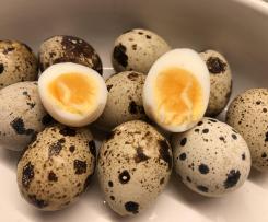Boiled / steamed Quail eggs