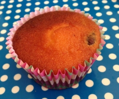 Best ever GF/DF coconut choc chip muffins