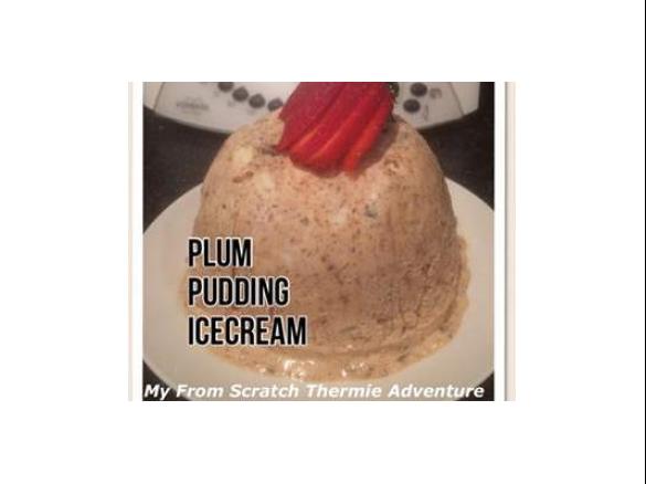 Plum Pudding Icecream