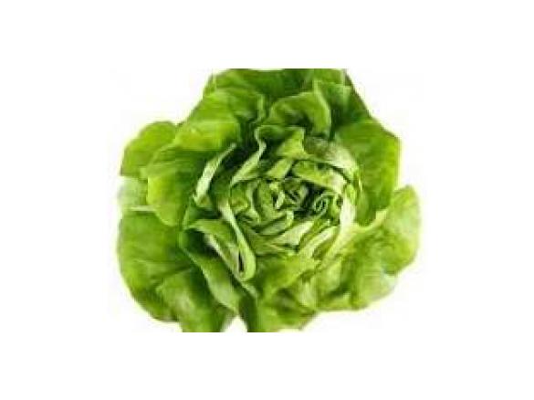 Lettuce Soup 