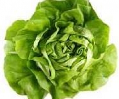 Lettuce Soup 
