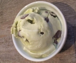 mint chocolate chip gelato