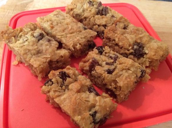 Honey & Sultana Slice