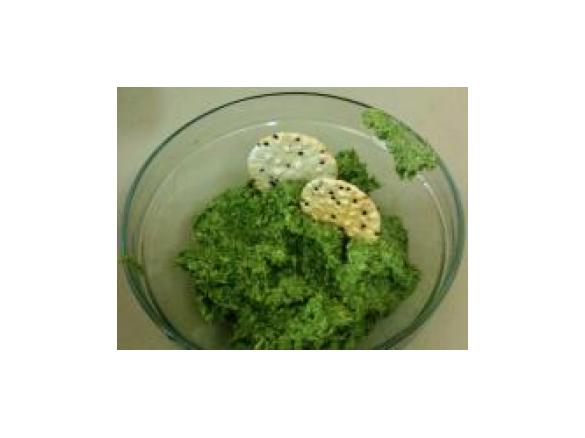 Coriander Chelation Pesto (raw food)