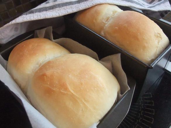 Quick & Easy Bread Dough for Buns/Loaves