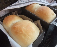 Quick & Easy Bread Dough for Buns/Loaves
