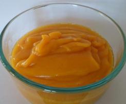 Pumpkin Puree (with seeds and skin) for Dogs