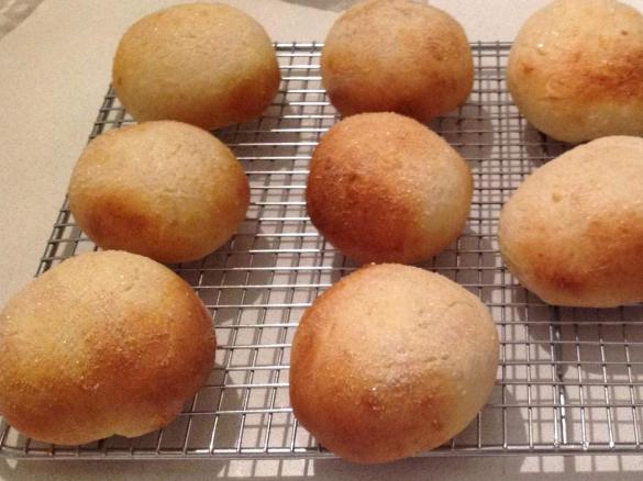 Apple & Custard Buns