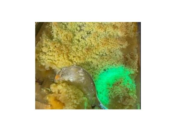 Apple Crumble or Red Berry Crumble